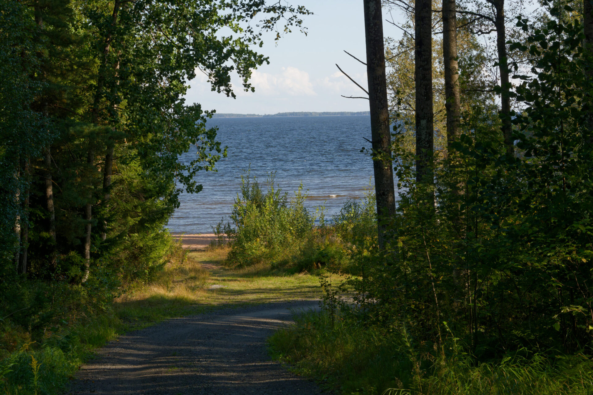 Bild mit Bäumen und See, die Sonne scheint. In Schweden